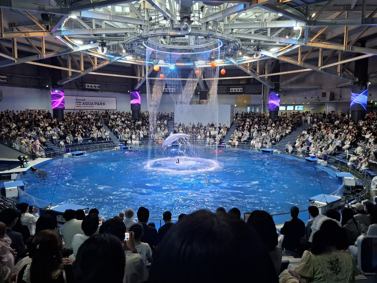 syu530's tweet photo. エプソン品川アクアスタジアム
行きましたー。
イルカショー、上から水降ってきたり
さすが！って感じでした。
都会の水族館楽しかった！ https://t.co/cGVGdtlpzr