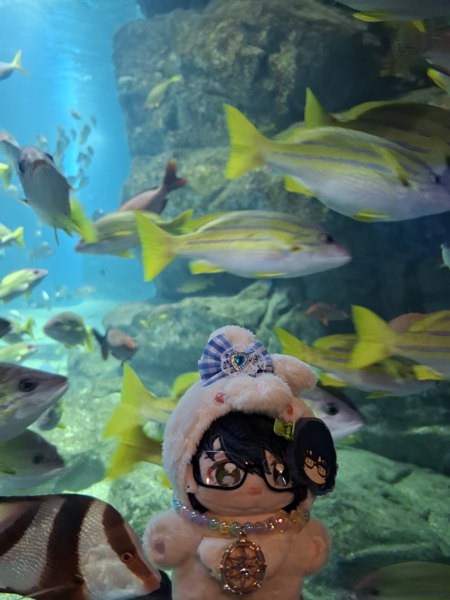 syu530's tweet photo. エプソン品川アクアスタジアム
行きましたー。
イルカショー、上から水降ってきたり
さすが！って感じでした。
都会の水族館楽しかった！ https://t.co/cGVGdtlpzr