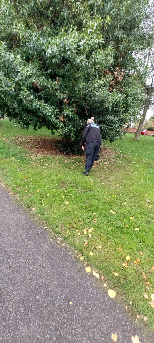 SmethwickWMP's tweet photo. Knife sweeps in Lightwoods park @SandwellPolice https://t.co/mxdP9a6d3x