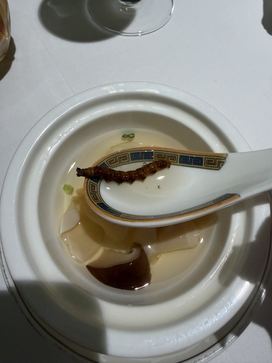 entpneverlies's tweet photo. 普通にたっかいコースに虫いて草 https://t.co/D8NcF6GzkX