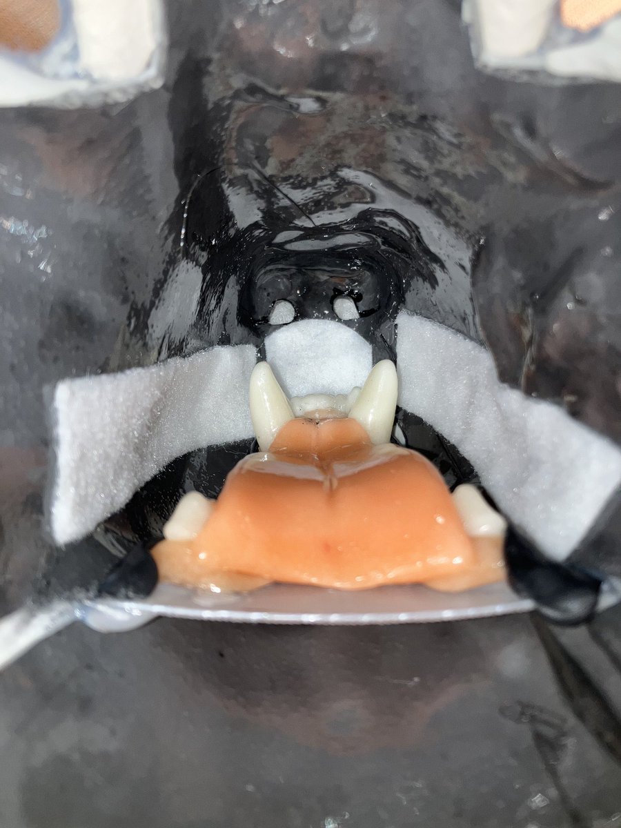 misosiru1026's tweet photo. 【有益情報まとめ】

①時間被って内側が吐息で結露すると、水滴が伝って口の周りが外側から触ってもわかるくらいビチョビチョになる問題、100均の結露吸水テープで解決できます✨🐺💦

②付け尻尾使ってる人、ベルトに通すタイプだと着脱が面倒だと思うけど、カラビナの大と小2つ使えばワンタッチで着脱ができて大変便利ですよ✨🐺🫶
ジャストサイズのカラビナなら外から見えないし、腰の服捲って少し被せたり上着被せたりすれば全然問題無し😉