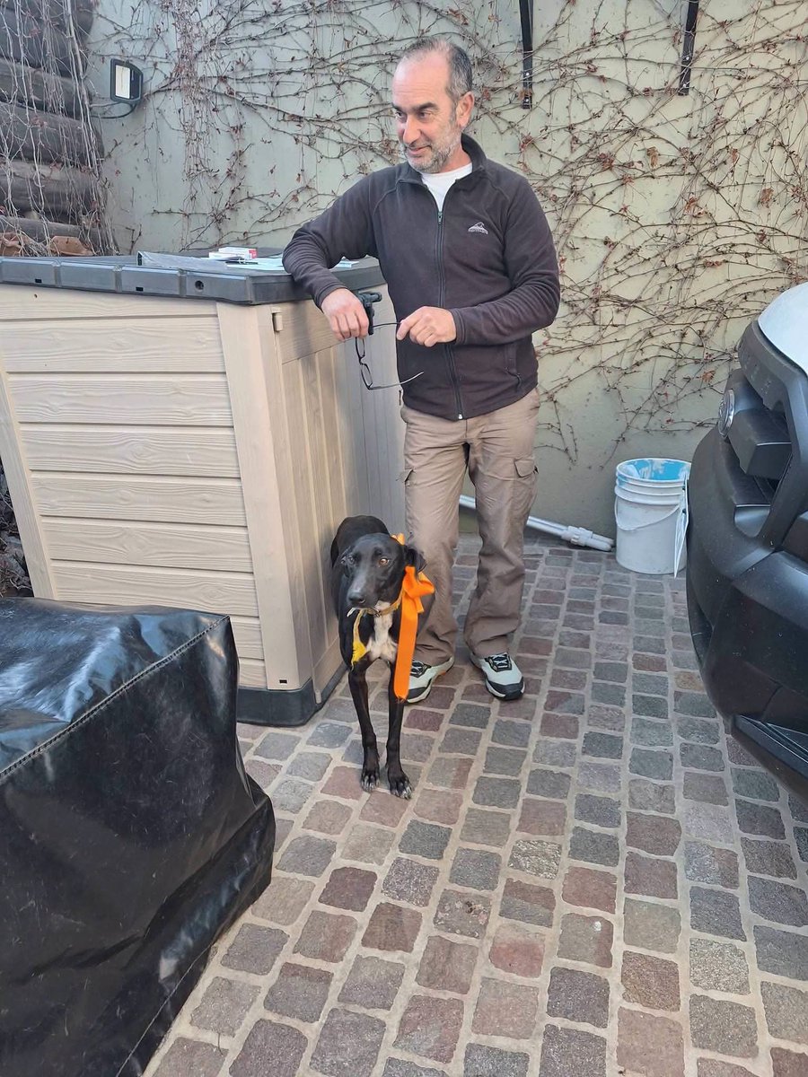 elcampito's tweet photo. En cada familia donde hay un camperito, sabemos que abunda el amor, el respeto, la amistad y la alegría.
Hoy es esta hermosa familia la que recibe a Oprah, una camperita adorable.

¡Que seas la perrita más feliz y amada del mundo! 🥰

¡¡¡OPRAH ADOPTAAADAAA !!!🥳
👇 https://t.co/bQpR5qPNkB