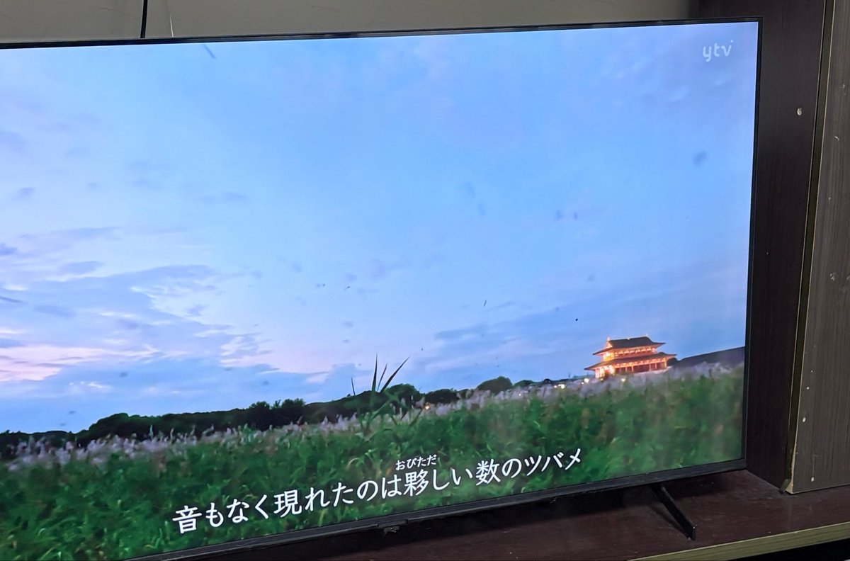 zt_oelo's tweet photo. イッテQおわって呑気にテレビ見てたら平城京流れてきてびっくりしました笑笑
いよいよ伝雷まで2週間切りましたね😳
ライブ始まる時間はこれくらいかもうちょい暗くなってますかね、？ https://t.co/ojsm4ff7F4