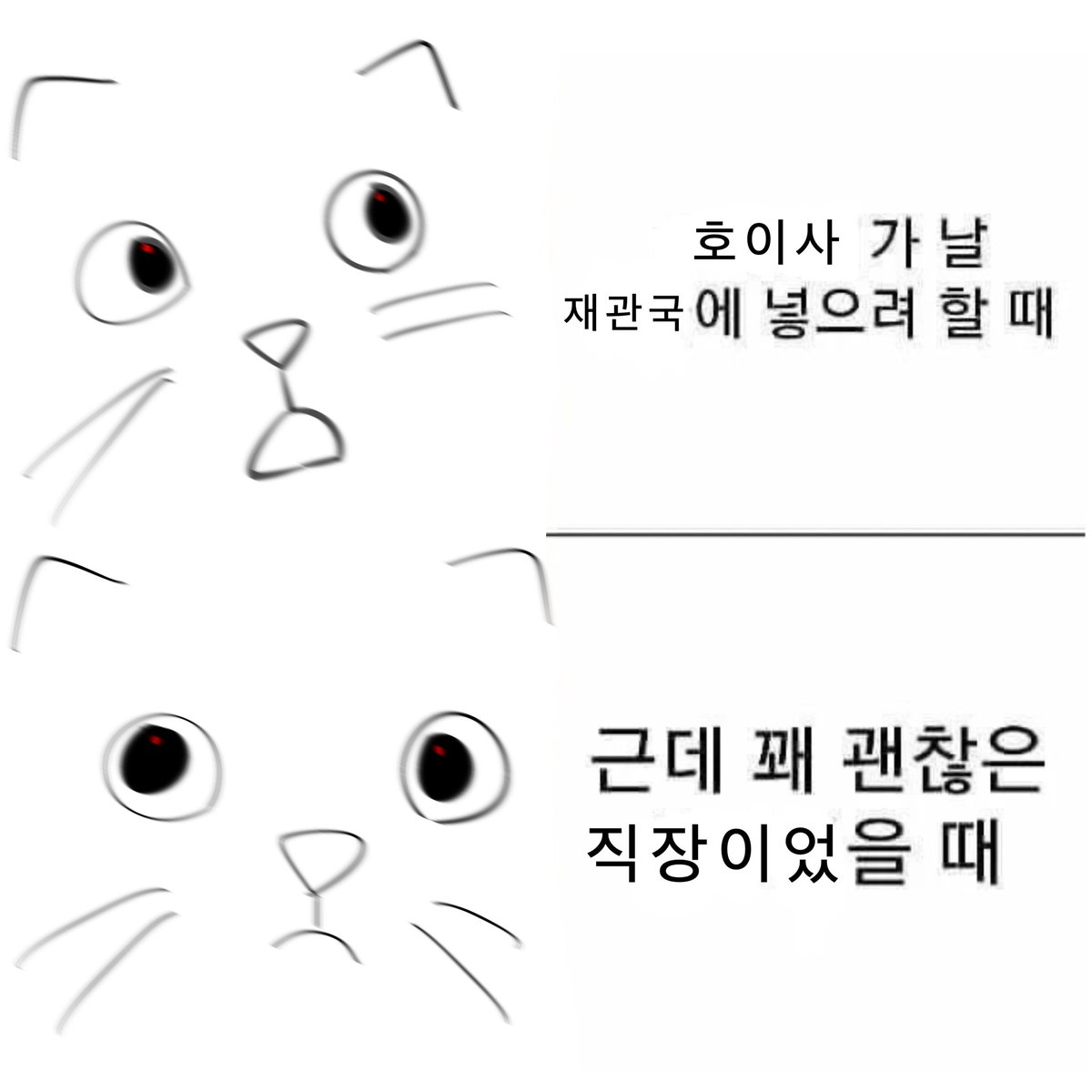 Cattyyyz's tweet photo. 하… https://t.co/zFLJzBTps6