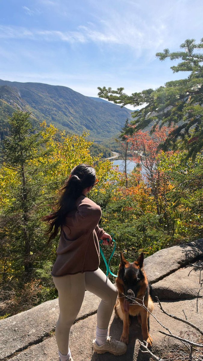 Juliacunnin's tweet photo. trail days ⛰️ #fyp #dogsofX #hiking https://t.co/xUztTz0ljn