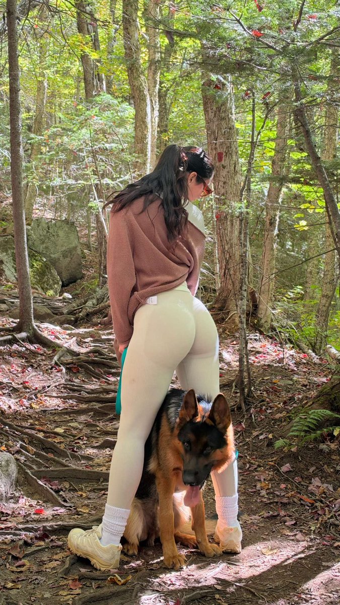 Juliacunnin's tweet photo. trail days ⛰️ #fyp #dogsofX #hiking https://t.co/xUztTz0ljn