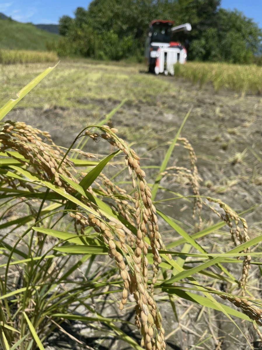 kumayoshi444's tweet photo. 大学生のバイトを雇ってバックスクリーン側に立たせた実績のある球団のファンの人だ https://t.co/DDOVGzvJq0