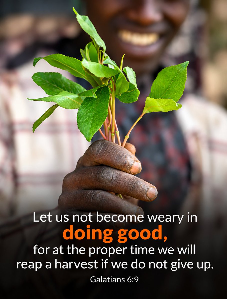 WorldVisionUSA's tweet photo. Every act of kindness, every prayer, every time you show up for someone—it matters. Through God’s love at work in us, small beginnings can grow into lasting change for children and families.🌱 https://t.co/qy6VVwlF5X