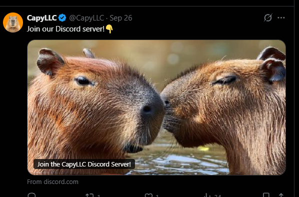 CapyLLC's tweet photo. @Brainybtc Its here.
https://t.co/UNn993MXZu https://t.co/BGlhvtdXgI