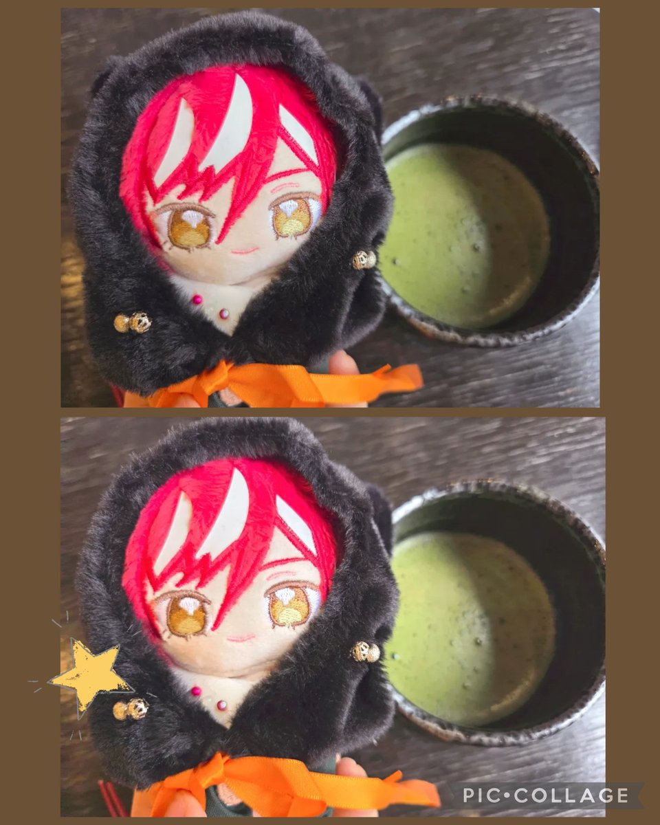 erue_enst's tweet photo. 一枚目ちょこっとだけ視線はずしてて、2枚目でこっち向いてるの…💮
可愛いよね…❤️(親バカ)

抹茶は久々に飲んだら苦くてビックリした(-.-) https://t.co/18Pi09T8To