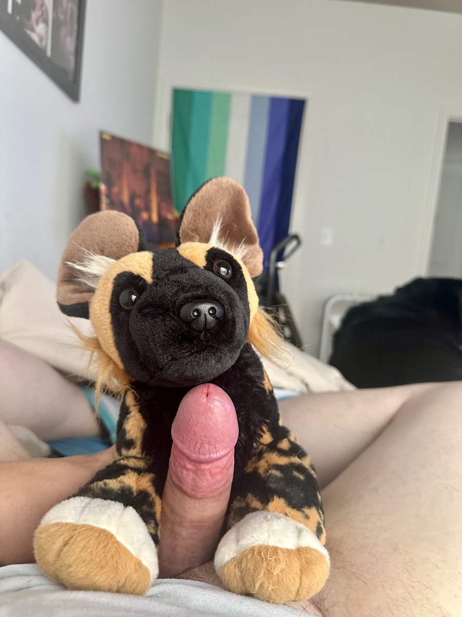 DeerAreBetter's tweet photo. Do you want to see me fuck it???

#Furry #FurryPorn #Masturbation #Cum #CumShot #Fat #Fatty #FatFur #Gay #Plushie https://t.co/sL0fokqJDC