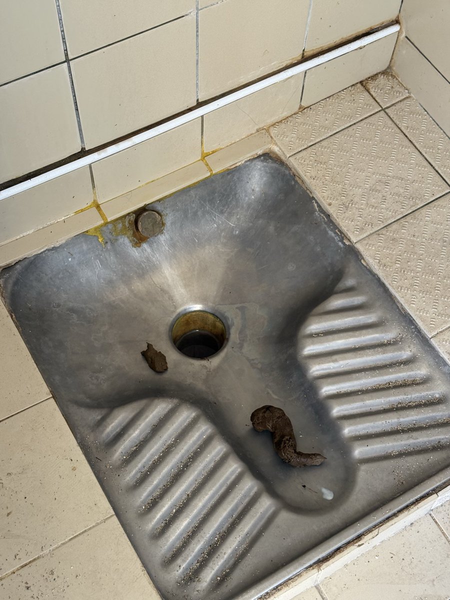 DirtyBBPig's tweet photo. I found today this beautiful turd in a public restroom on the beach, what would you have done with it? https://t.co/wqlj8fFHDp