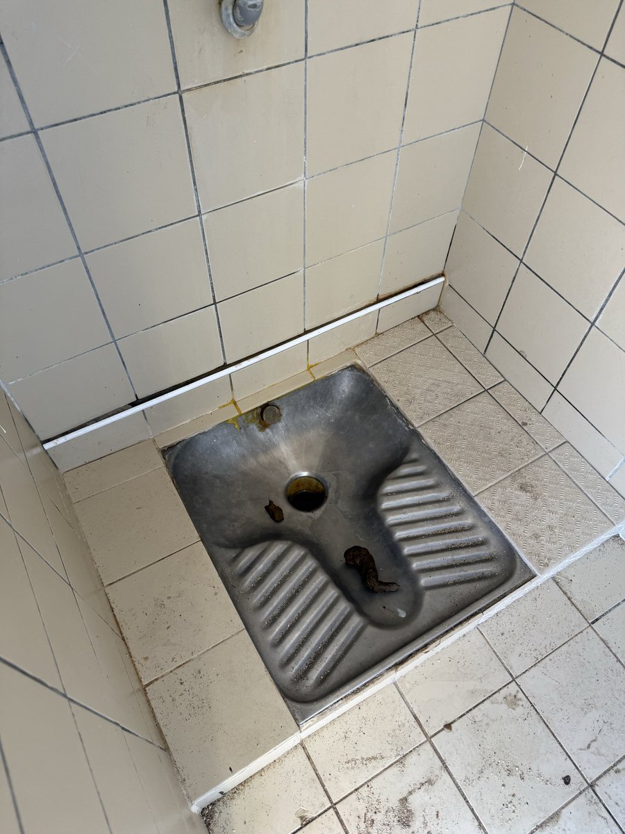 DirtyBBPig's tweet photo. I found today this beautiful turd in a public restroom on the beach, what would you have done with it? https://t.co/wqlj8fFHDp