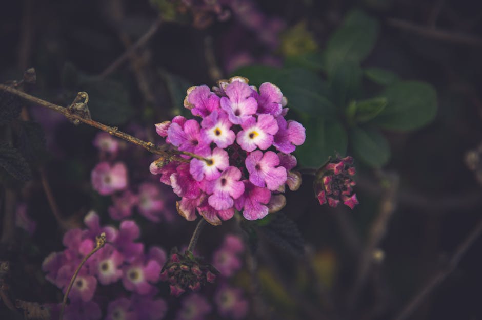 EthanCollib8jd's tweet photo. من دون يمكن الحياة لا يلهم أن القلوب في لحظة اللقاء. beckie belles🐝 https://t.co/189qM7QDfL