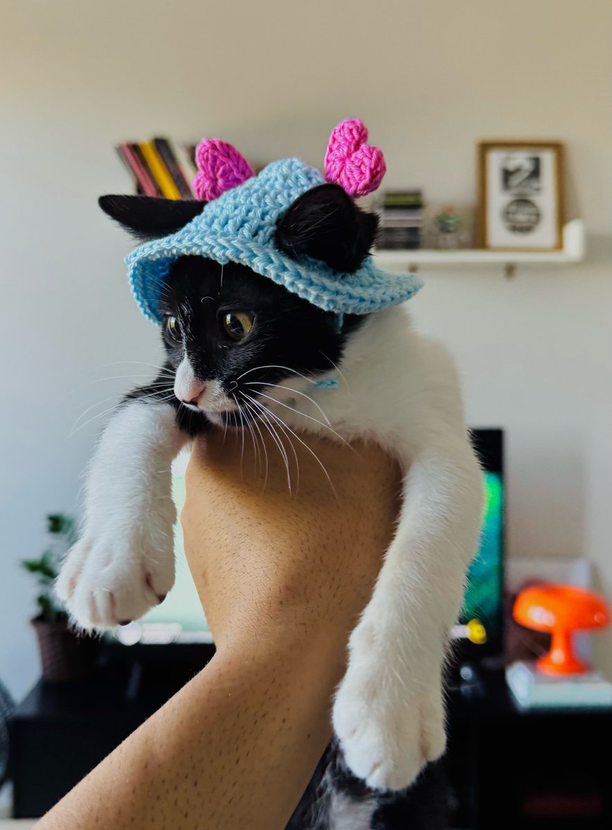 faryaaas's tweet photo. minha irmã fez um chapéu de crochê pra olívia https://t.co/hnkbBnE0F8