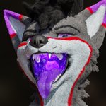Photo by Timber (@hungry_folf)