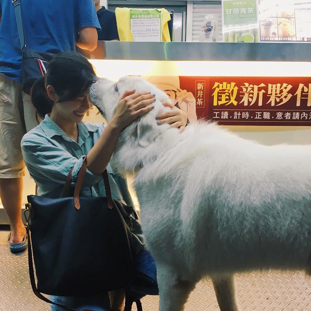 kim_chan86's tweet photo. Ancient mammoth skeleton, ancient treasure ship model, and exquisite wood-carved murals truly breathtaking.

And that final chance encounter… I usually don’t let strangers kiss me, but how could I possibly refuse this one? 💕 https://t.co/TrDcqcRORj