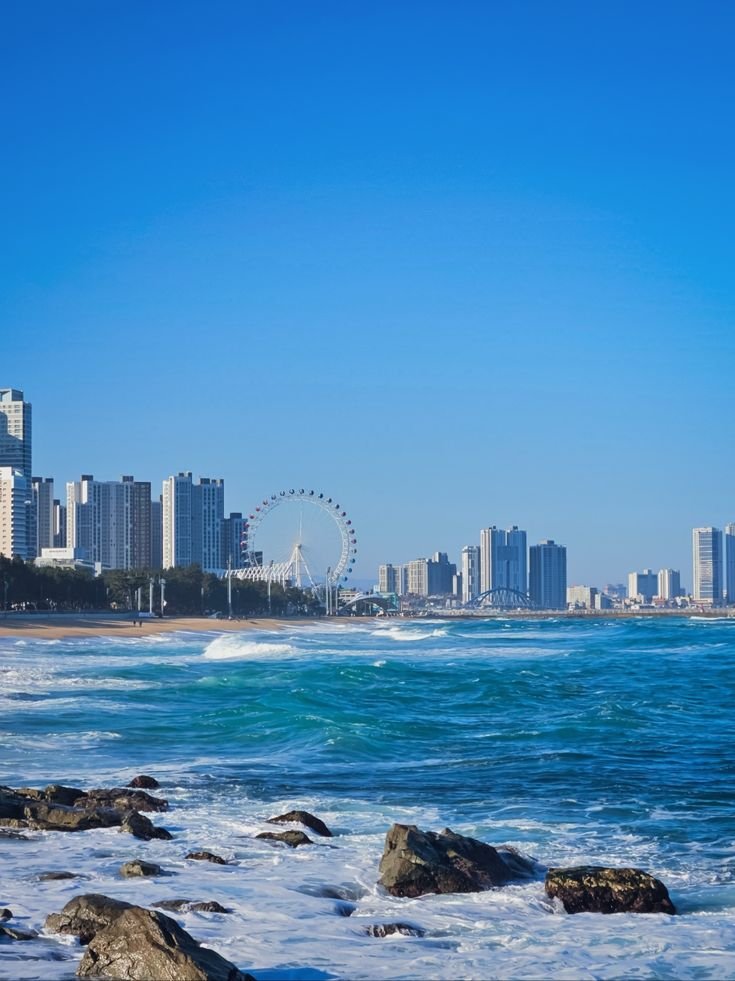 onllycutestuff's tweet photo. Sokcho, Korea https://t.co/E1sOEjb2lc