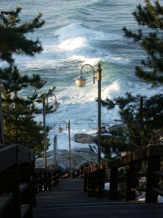 onllycutestuff's tweet photo. Sokcho, Korea https://t.co/E1sOEjb2lc