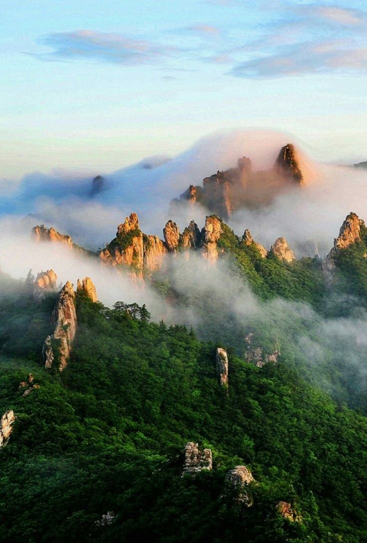 onllycutestuff's tweet photo. Sokcho, Korea https://t.co/E1sOEjb2lc