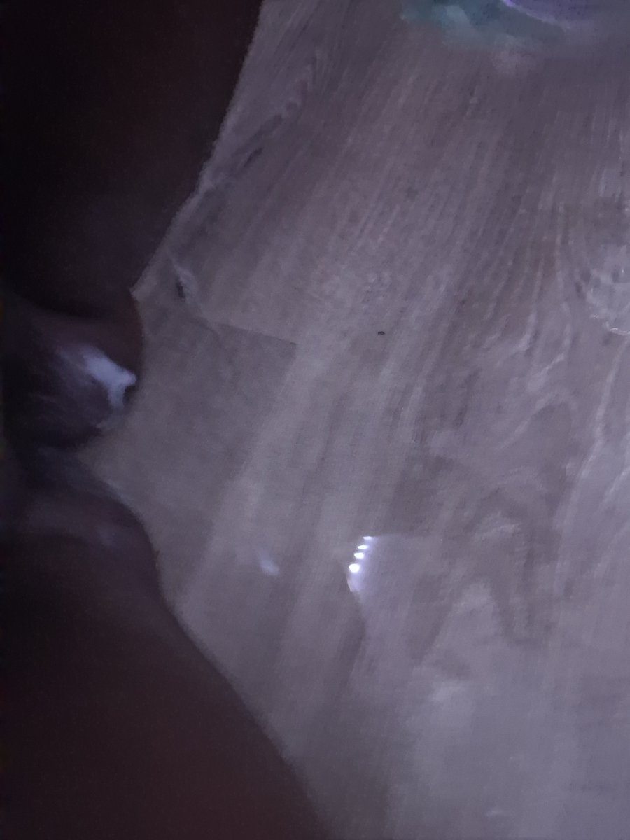 OneAndOnlyNaom's tweet photo. You Get The Best Of Both Worlds Wit Me Daddy🌊🍦👅 This Pussy Would Make You Wanna Nut In Me😫👅#creamy #squirt #wetasf #pussy https://t.co/uyKEUaLbFa
