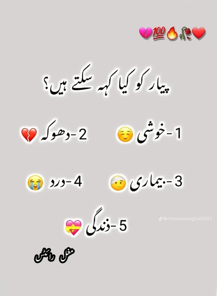 Areeba2um's tweet photo. https://t.co/d7JB7m1URi