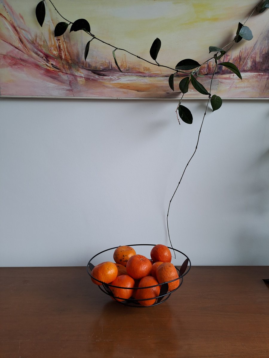 glamour_sin's tweet photo. Mandarinas con cuadro.
Óleo sobre tela. https://t.co/5s9KXZ67zB