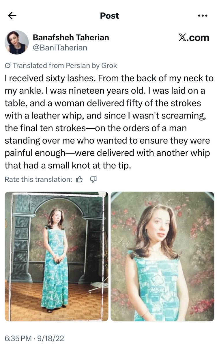 ppotatog1rl's tweet photo. This is an Iranian woman’s real experience btw https://t.co/YowACVKRwp