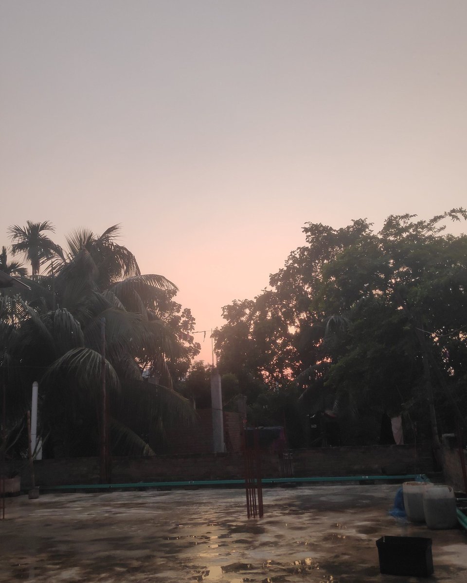 violetmooregbnu's tweet photo. Good evening. https://t.co/95KAq2EuyB