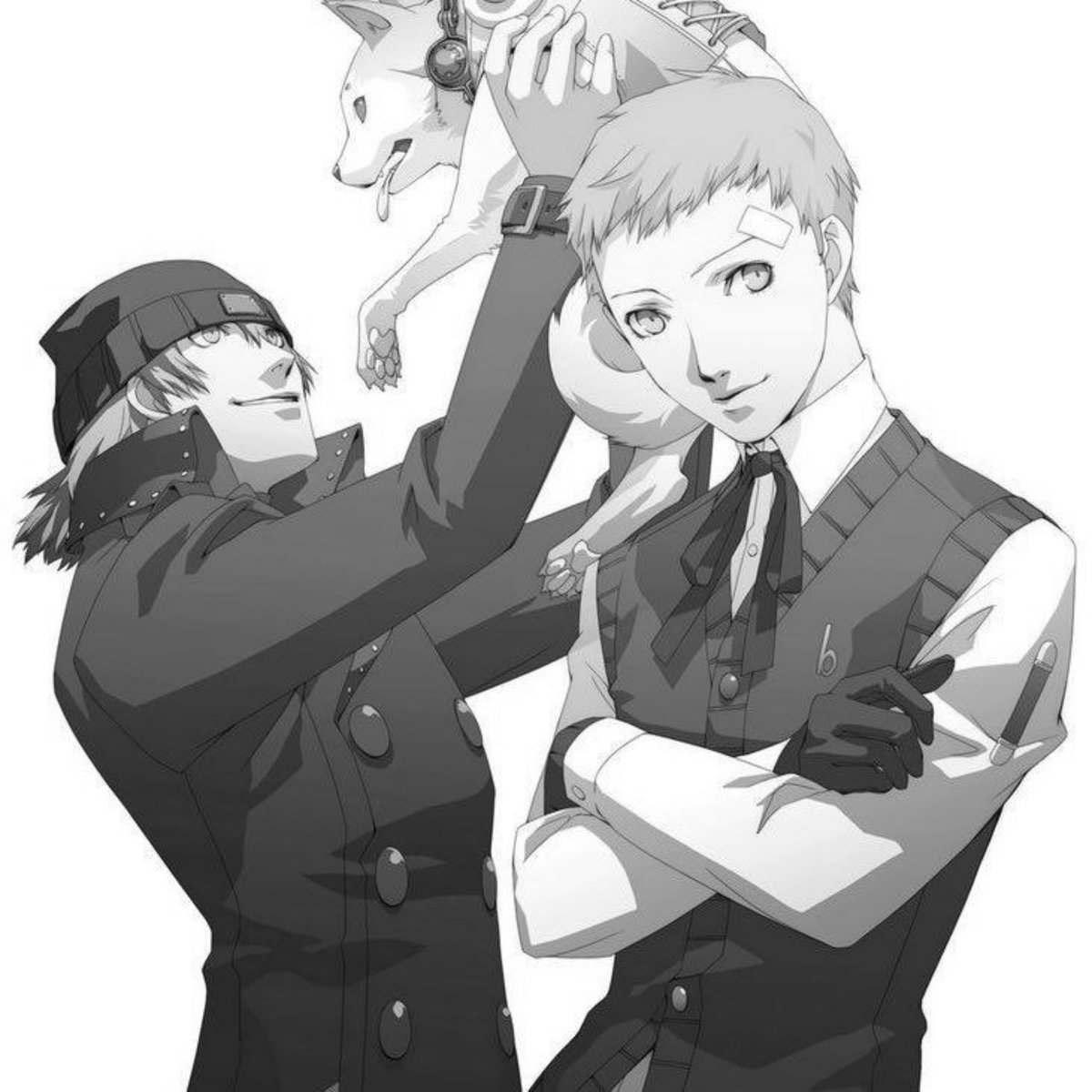 ShiraishiiSama's tweet photo. ᅠ https://t.co/OdPVXZeiHB