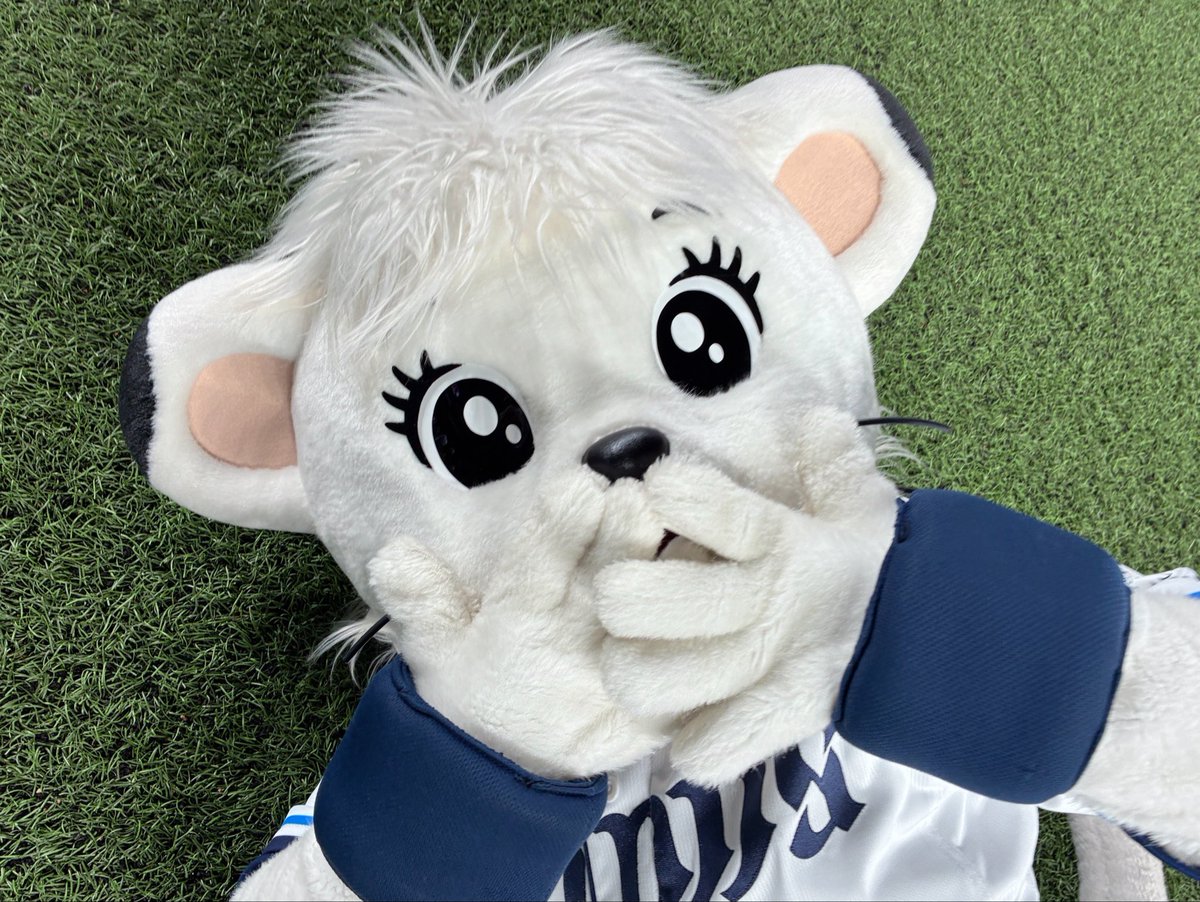 lions_lina's tweet photo. ライオンズ ビクトリー！！
2れんしょう〜⭐︎ ぎゃくてんのしゅんかん、うわー！って、うおーー！って
なって うれしかったね♪ 
きょうもあついせいえん ありがとうございました♡あしたも おねがいします！
#seibulions #埼玉西武ライオンズ https://t.co/1FPFYHxq0K