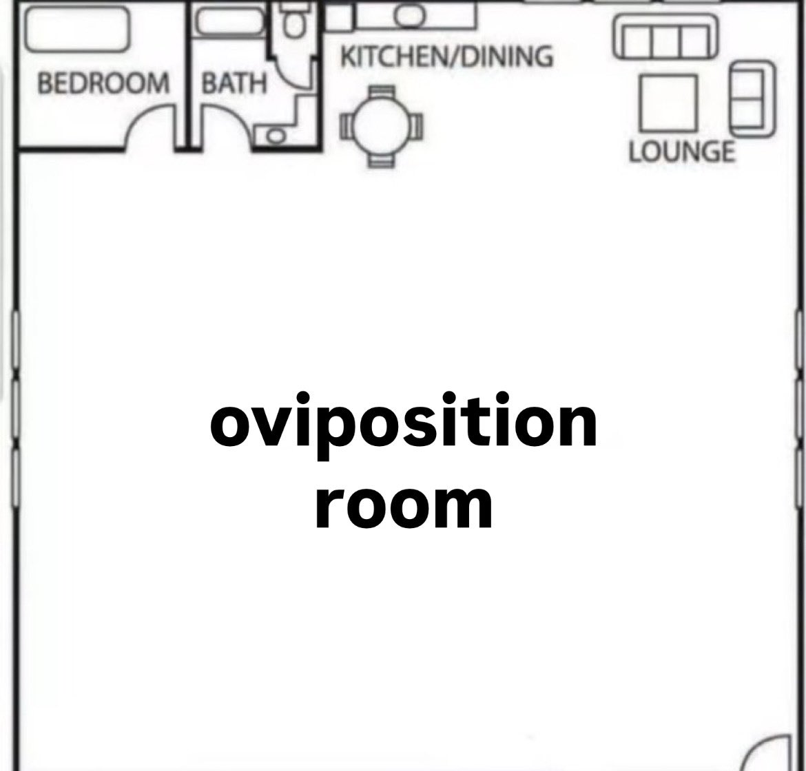 RyclopsWife's tweet photo. changing the layout of my place https://t.co/8wUlxyzCk4
