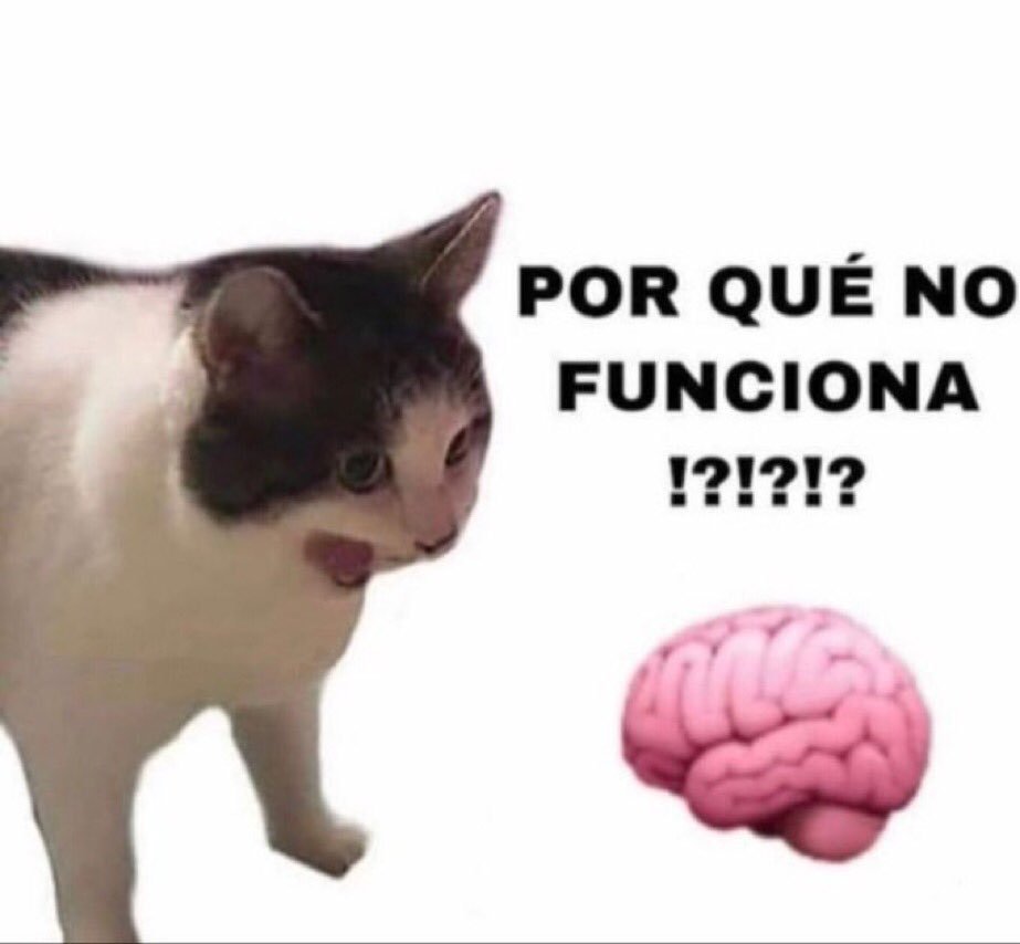 memes_una's tweet photo. Yo intentando estudiar un domingo https://t.co/ea9oBzNtEm