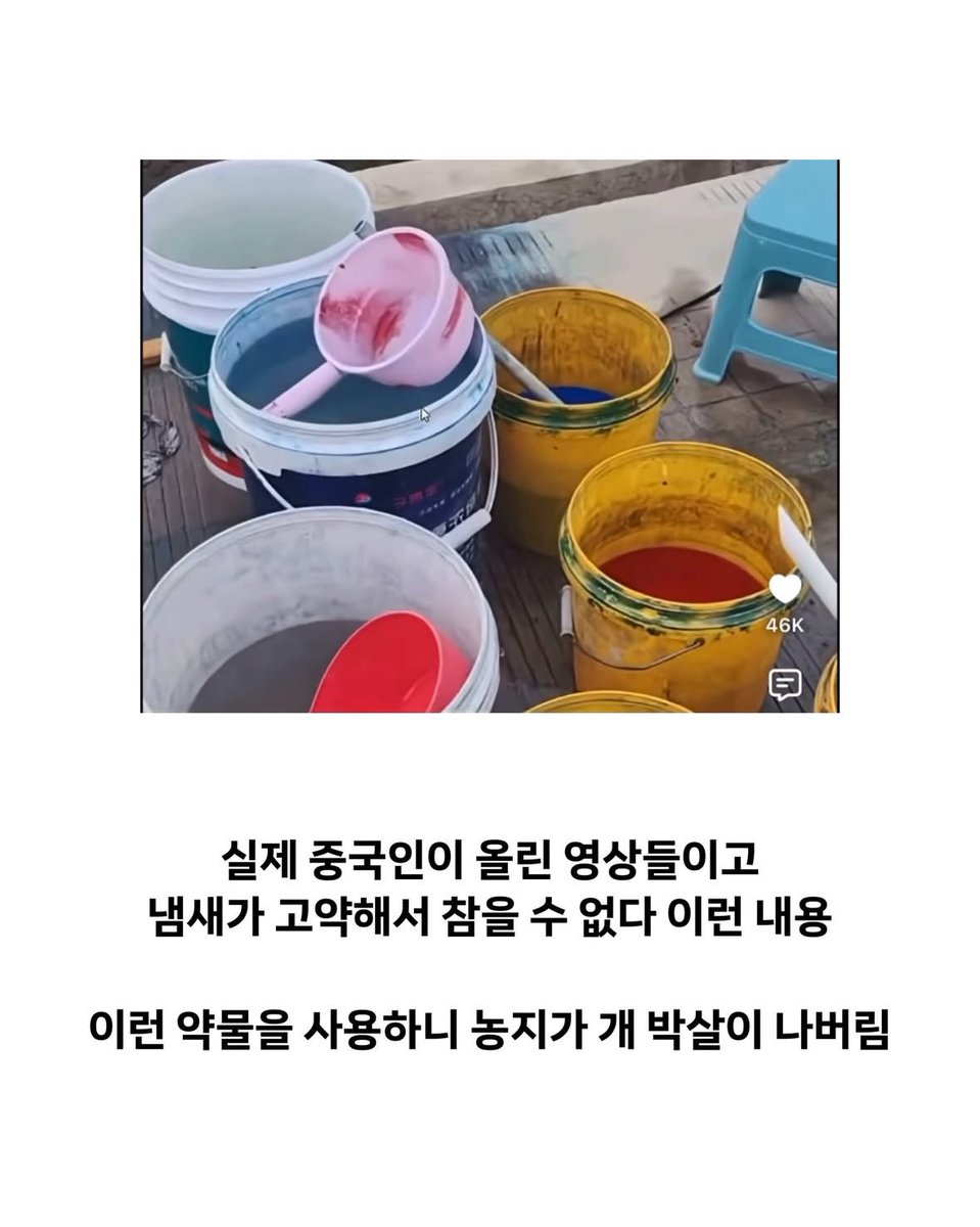 teslapilgrim's tweet photo. 중국인들 농지 사서

이런짓 벌이는거

사실인지요? https://t.co/tJQ7lSd6Bm
