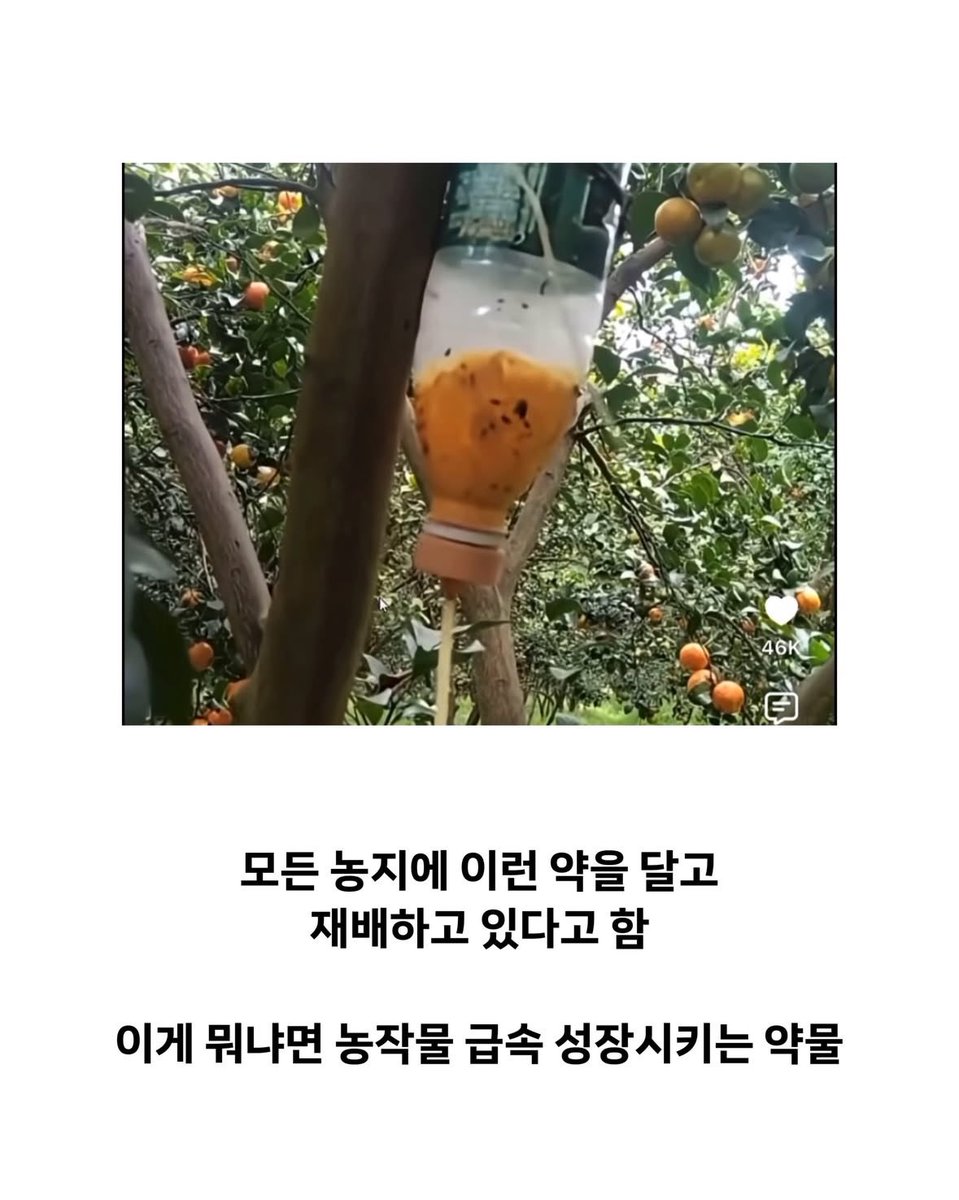 teslapilgrim's tweet photo. 중국인들 농지 사서

이런짓 벌이는거

사실인지요? https://t.co/tJQ7lSd6Bm
