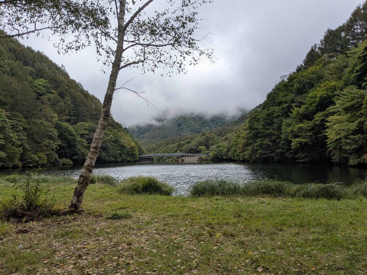 hamukait's tweet photo. 子供産まれて以来３年ぶりにキャンプして焚き火した。ここ最近虚無ってたが、最高のリフレッシュだった😆 https://t.co/Z2lASHLTBY