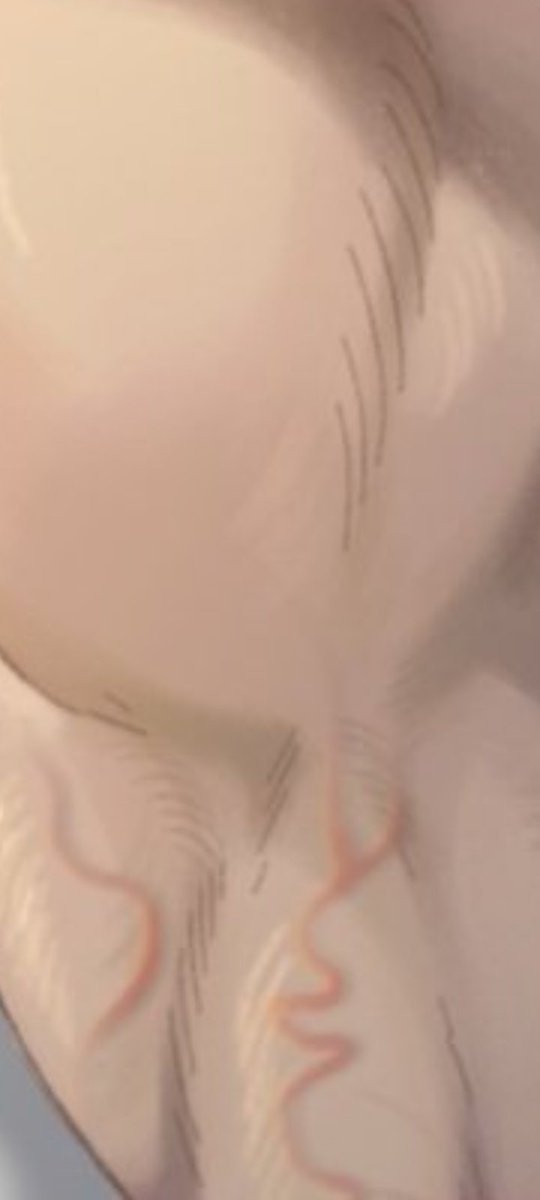 KitamuraKuma's tweet photo. @Elki_salo ESAS SON LAS MARCAS ROJAS DE LA SHE-RA INFECTADA? 

UNO PUEDE SABER QUE ESTO VA A ESTAR PARA CHUPARSE LOS DEDOS CUANDO HAY MUUUUUCHO ROJO EN EL DIBUJO https://t.co/dAQlCtdLHi
