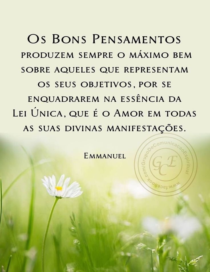 EspiritismoF's tweet photo. https://t.co/z8T92Vk7Pa