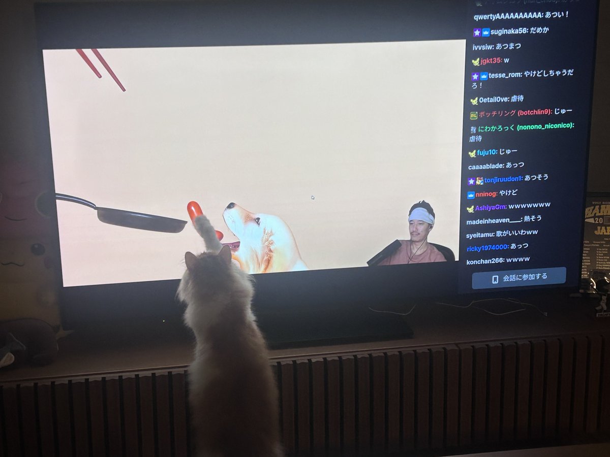 c_496_y's tweet photo. 布団ちゃんの放送を楽しむ愛猫 https://t.co/J6xA95HzVE