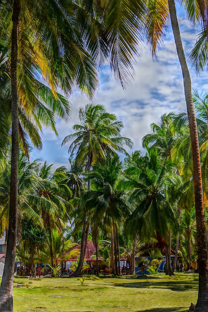 daikitt3's tweet photo. コロンビアのサンアンドレス島
Colombia  San Andrés 
Johnny Cay https://t.co/WO2z8crOlr