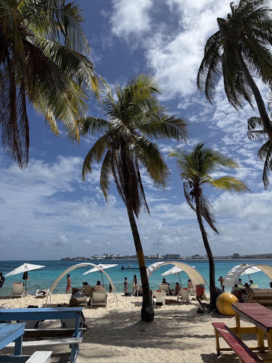daikitt3's tweet photo. コロンビアのサンアンドレス島
Colombia  San Andrés 
Johnny Cay https://t.co/WO2z8crOlr
