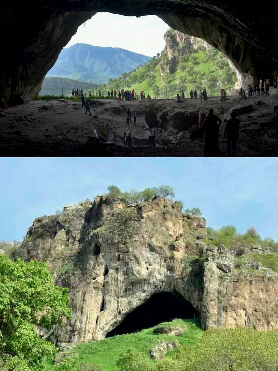 JacobTorreyj's tweet photo. In 1957, the remains of 9 Neanderthals were found in the Shanidar Cave in Iraq. This was their home 65,000 years ago.
#ViralWow #Address https://t.co/QqTS0eeEGh