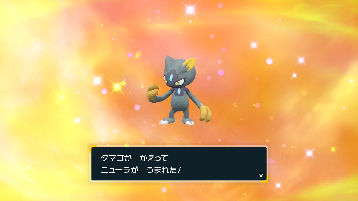 AtagoNoda's tweet photo. ちょいと孵化厳選をしていたのあさんです(=゜ω゜)ﾉ
「ウルトラボール入り色違いヒスイニューラ」
ちょいととは言いつつ、結構時間はかかった気がする。何週間かかっただろうか、タマゴは一日ちょびっとずつとはいえ合計1000は割った気がする���詳しくは覚えていない(´･ω･｀) https://t.co/i7gwi3jrVp