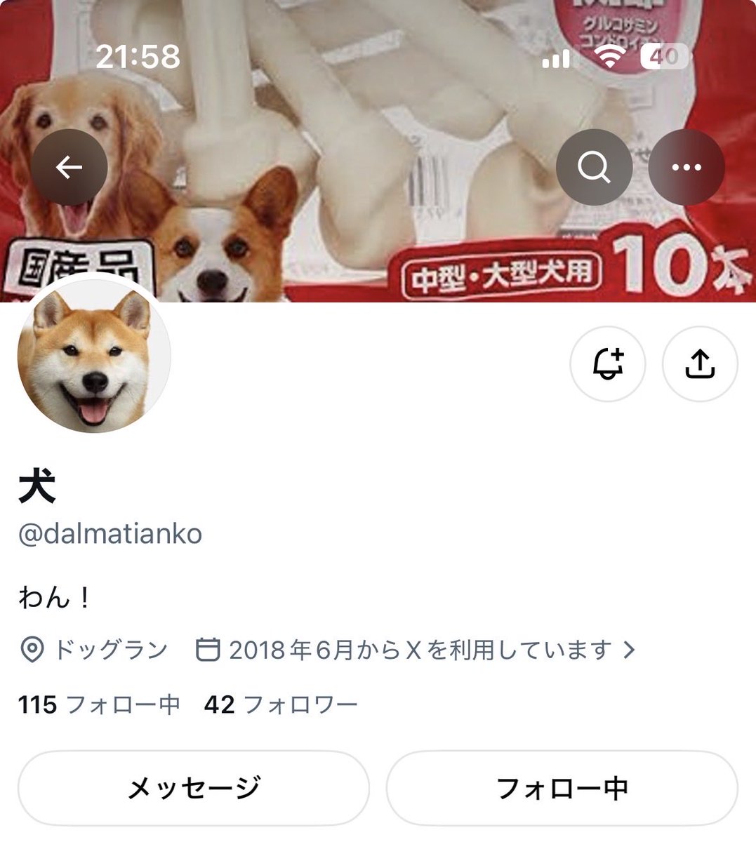Lily_E_WB's tweet photo. 犬のアカウントを見つけてしまい、呟きが全て犬なので動揺している https://t.co/CtdA2ULooB