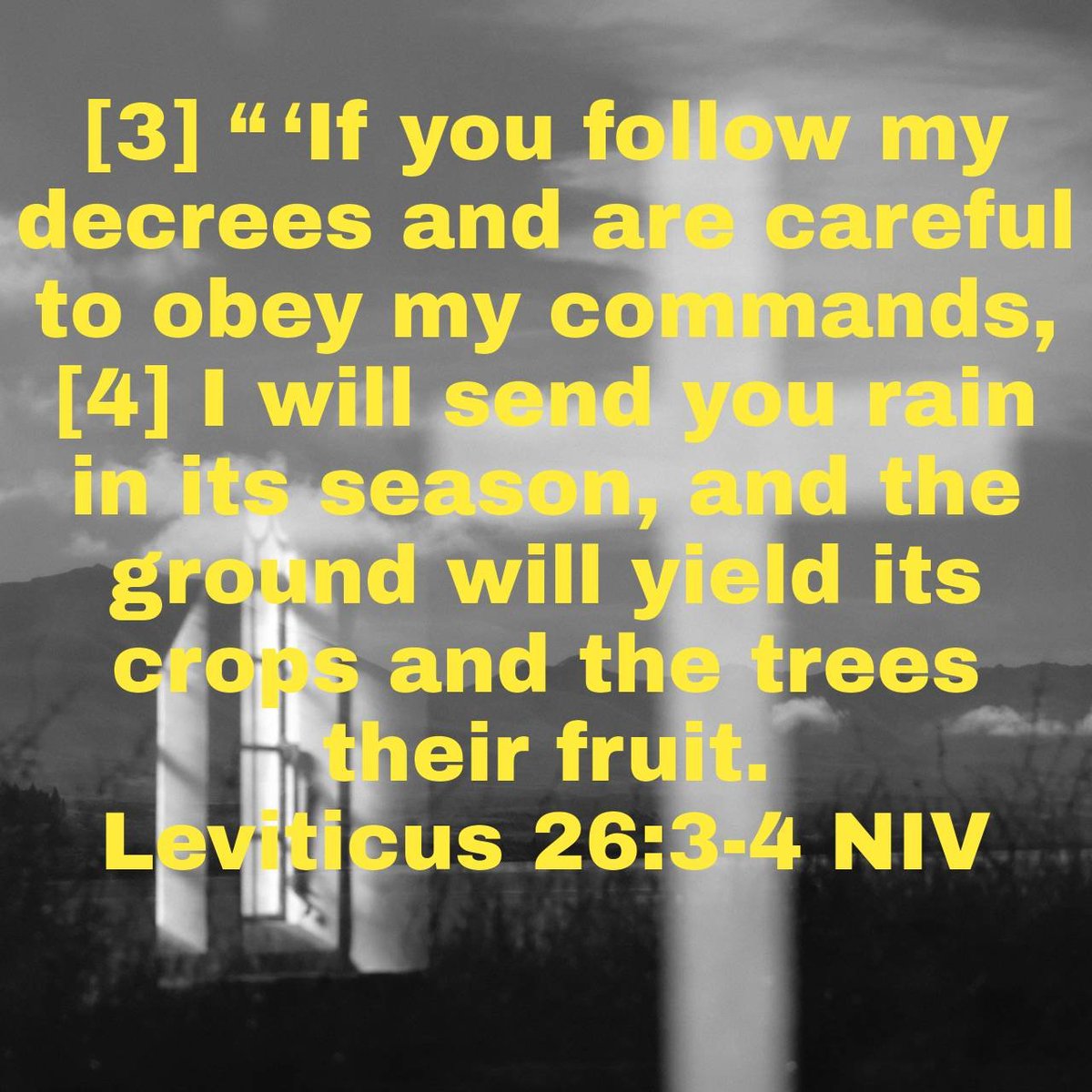 CharlesEdisson's tweet photo. ““ ‘If you follow my decrees and are careful to obey my commands, I will send you rain in its season, and the ground will yield its crops and the trees their fruit. ”
Leviticus 26:3-4 NIV

https://t.co/8HeeDnvpg8 https://t.co/Qj8YczUGGo