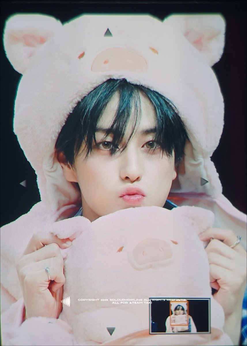 soloudhowling's tweet photo. 뙤지야 https://t.co/17eQIJMLx7