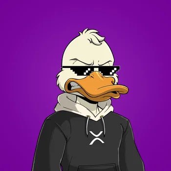 LordDosa's tweet photo. @0xJeribond Glad to have you here. Check our @Grumpy_DuckOG 

The Ducks Are Flying 💪 https://t.co/rR89O7pduJ