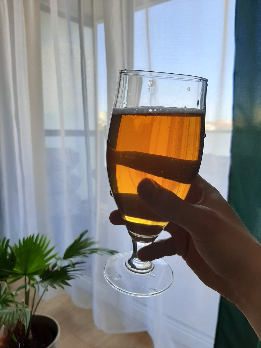 szadkovsky's tweet photo. Niedzielne smakowanie, od jasnego piwka po czekoladowego portera 🥰😋 https://t.co/GPTP7SnS4R