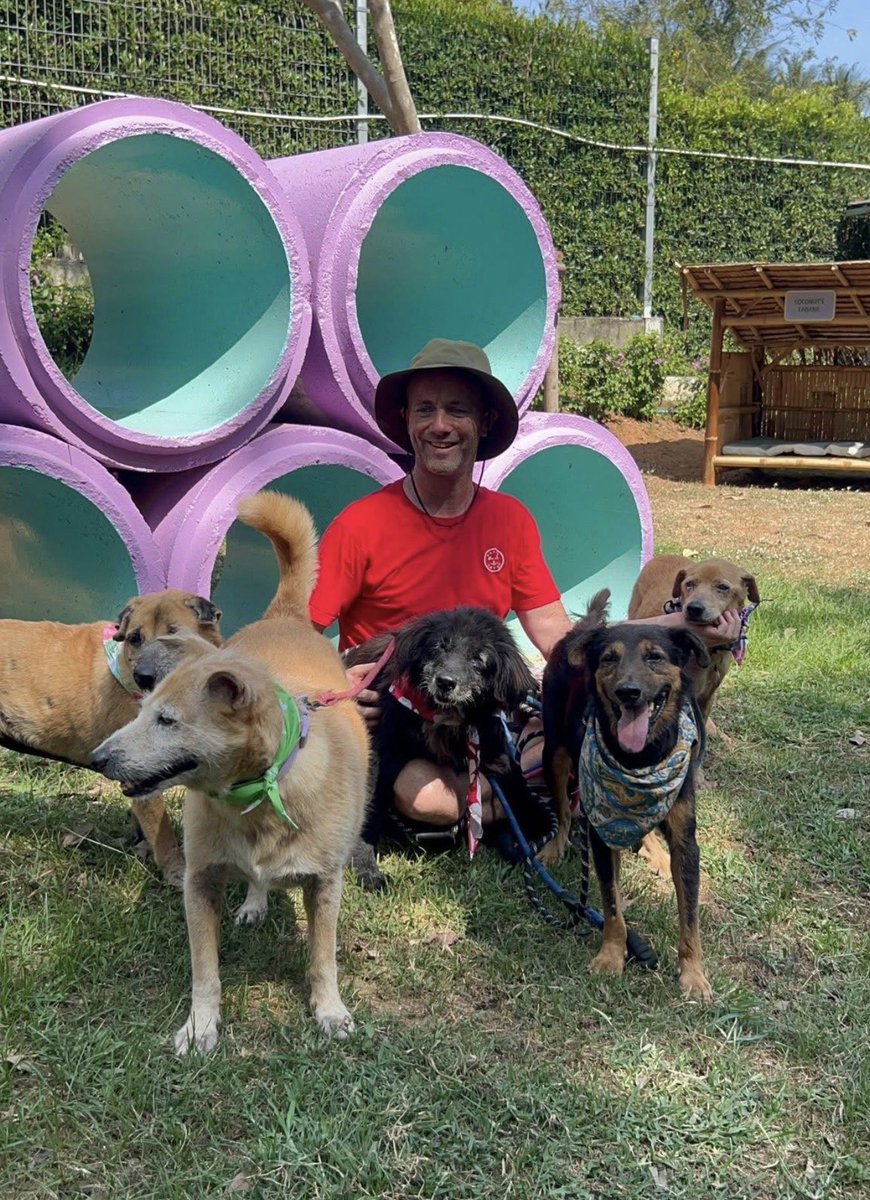 NiallHarbison's tweet photo. I’ve lived with depression and anxiety for more than 25 years.

I wanted to share a few things that have made a difference for me. This isn't medical advice—just lessons learned through trial and error across many tough years of personal experience.

Here are 10 things that help me manage anxiety and depression… (1/12)