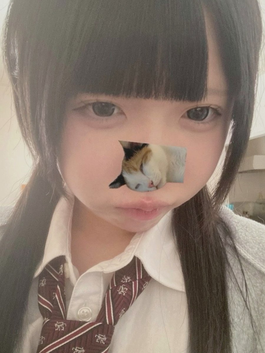 EvaPipernxja's tweet photo. ほらね、ちょっとだけ特別なの😉 https://t.co/b31rDrpY1g